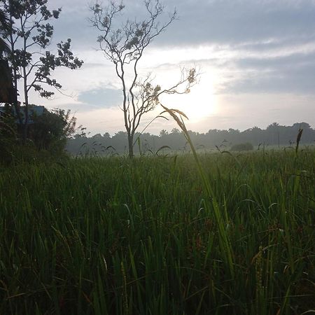 Sigiriya Paddy Field Hut别墅 客房 照片