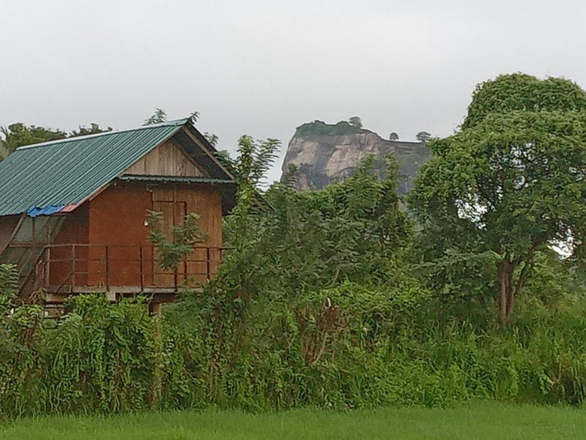 Sigiriya Paddy Field Hut别墅 外观 照片