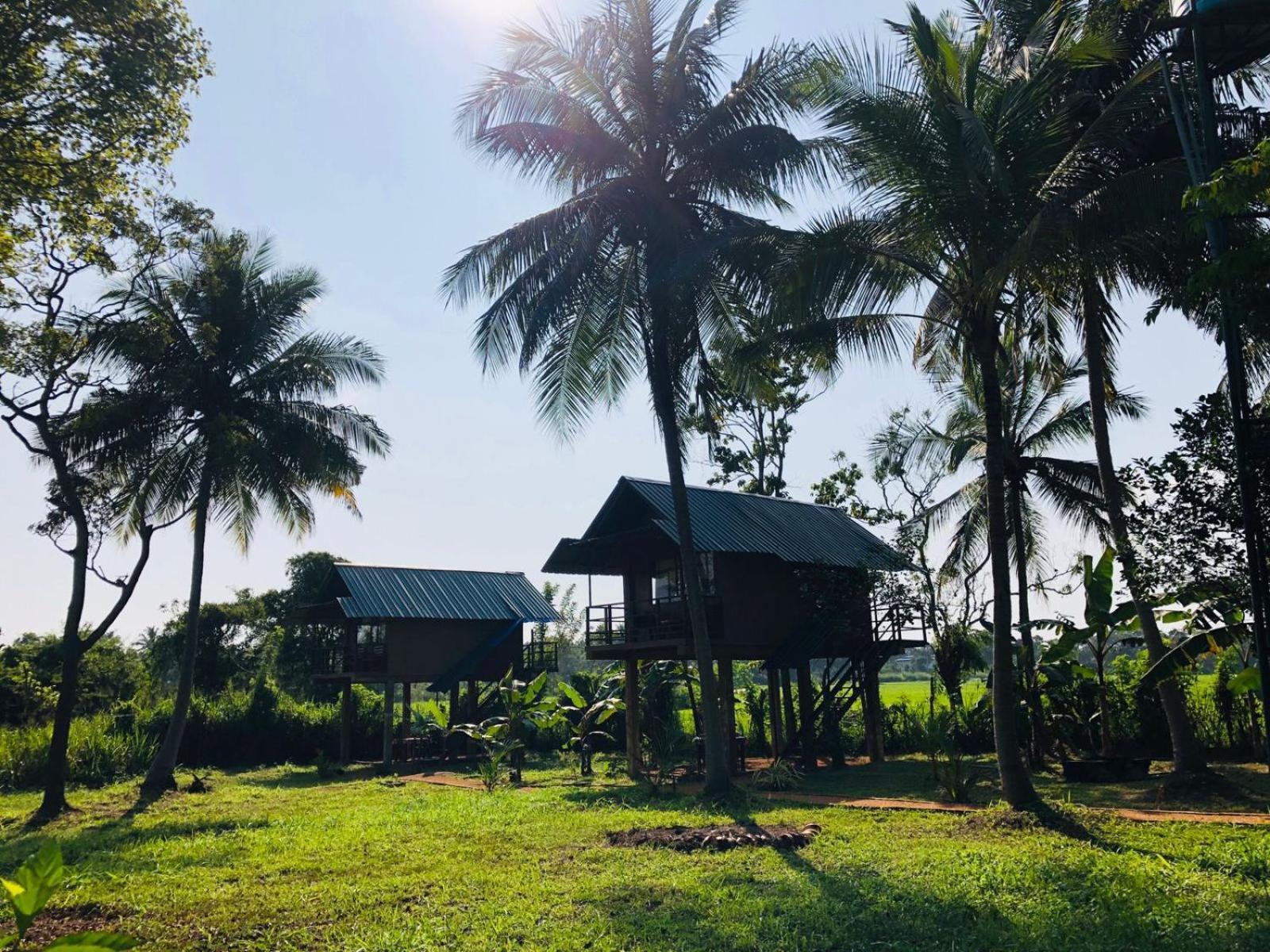 Sigiriya Paddy Field Hut别墅 客房 照片
